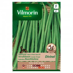 Haricot Nain À Filets Sans...