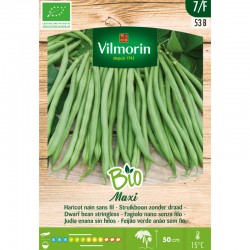 Haricot Nain Fins Maxi BIO