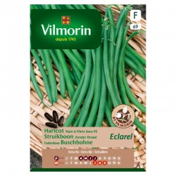 Haricot Nain À Filets Sans...