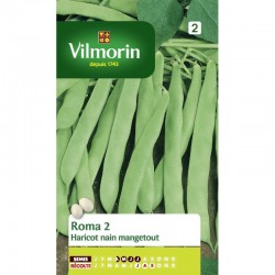 Haricot Nain Mangetout Vert...