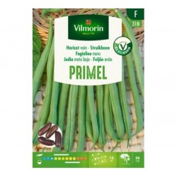 Haricot Nain Mangetout Vert...