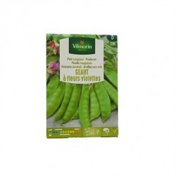 Pois Mangetout Rames Géant...