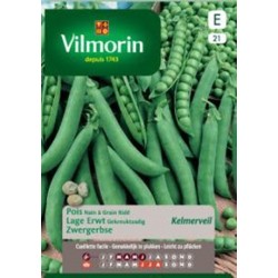 Pois Nain À Grain Ridé...