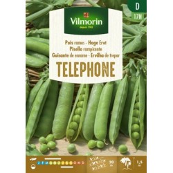 Pois à Rames Téléphone 150g
