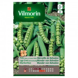 Pois Nain À Grain Ridé...