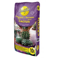 TERREAU CACTUS 10 L