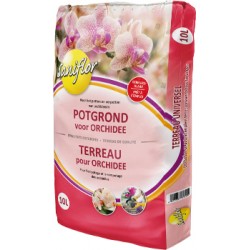 ORCHIDEE 0,5L