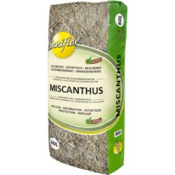 MISCANTHUS 60L