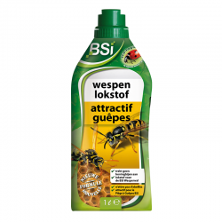 Wasp Attract...