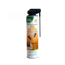 BSI Insecticide Fourmis...