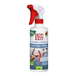 Hot exit 500 ml