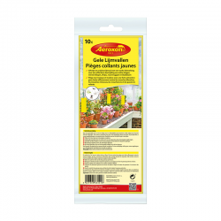 Aeroxon Pièges Collants...