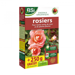 Engrais Bio pour Rosiers...