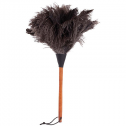 PLUMEAU PLUME D'AUTRUCHE...