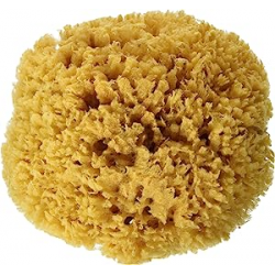 EPONGE NATURELLE 070