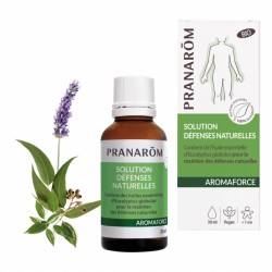 Solution - Défenses...