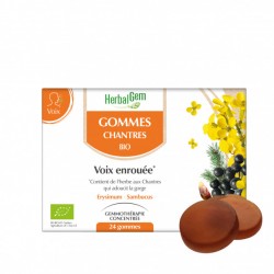 GOMMES CHANTRES 24 GOMMES