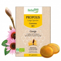 PROPOLIS LARGE SPECTRE BIO...