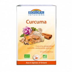 INFU CURCUMA BIO BOITE X20 24G